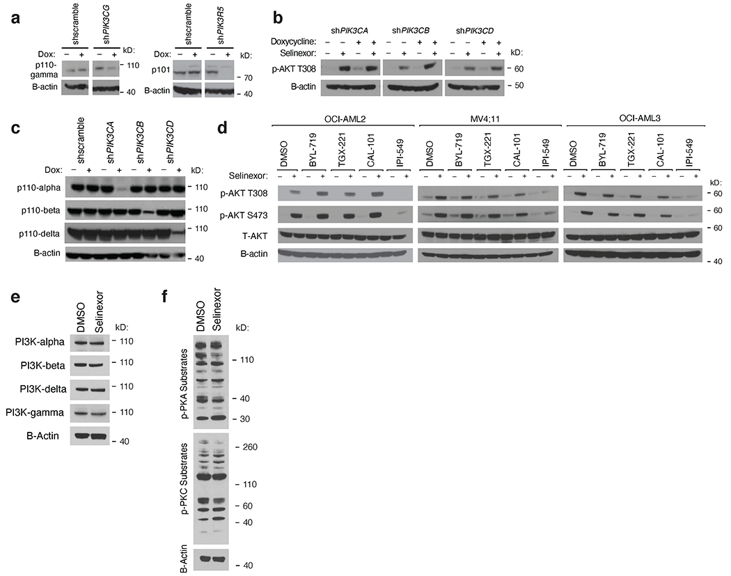 Extended Data Fig. 5