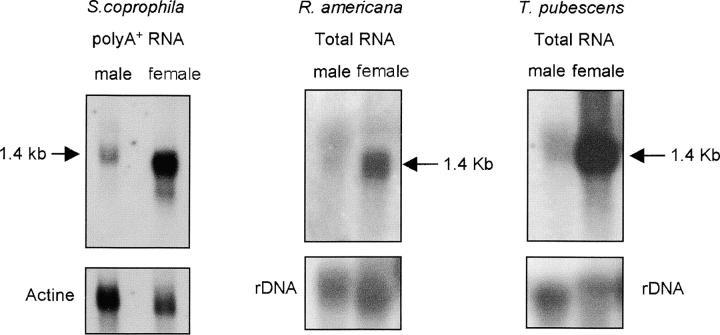 Figure 3.—