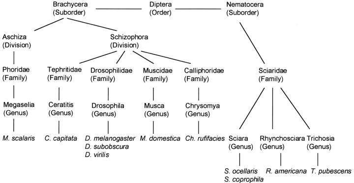 Figure 1.—