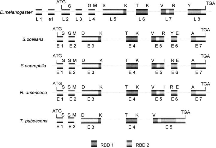 Figure 2.—