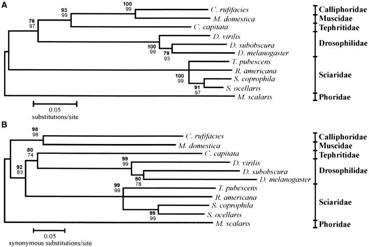 Figure 10.—