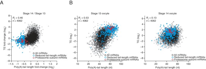 Figure 2—figure supplement 2.