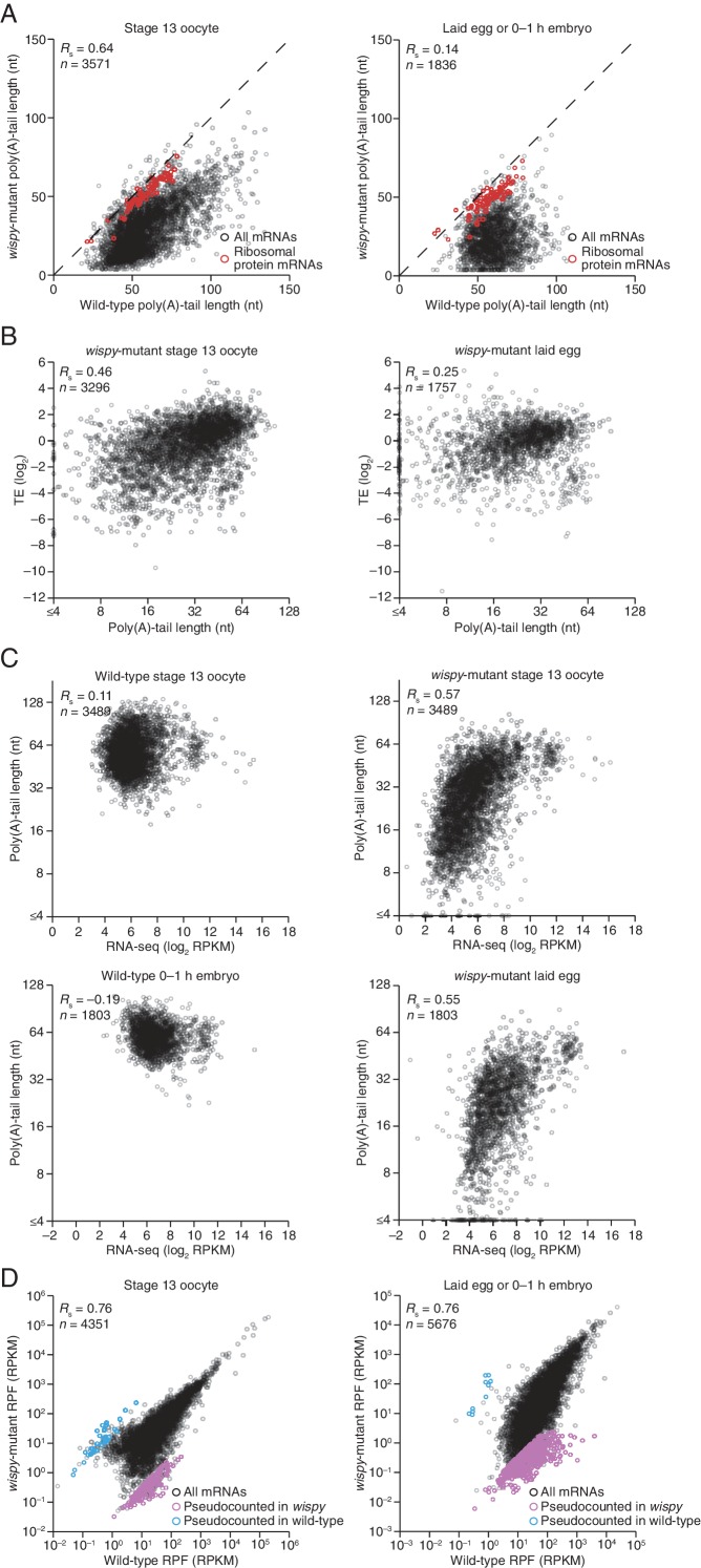 Figure 5—figure supplement 1.