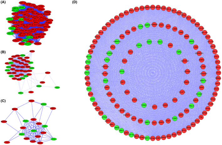 FIGURE 2