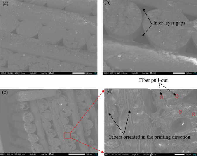 Fig. 12