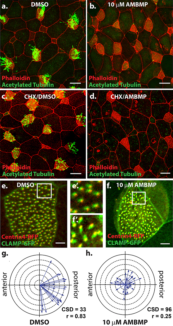 Figure 3: