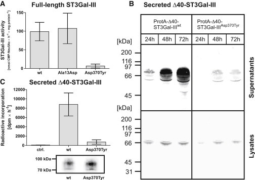 Figure 4