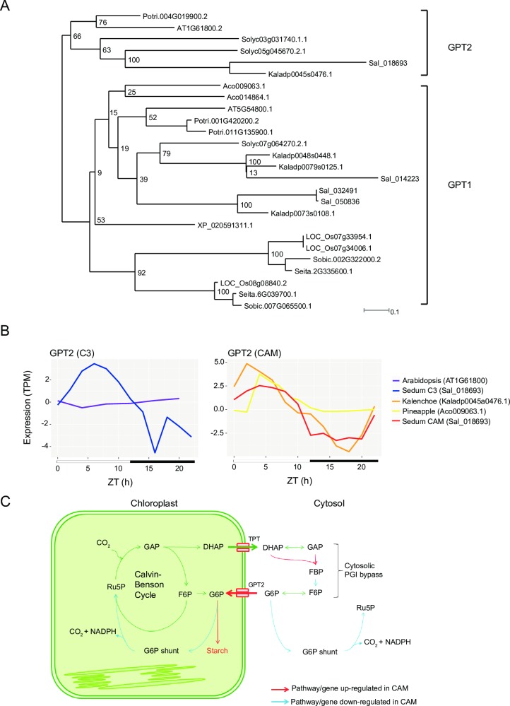 Fig 8