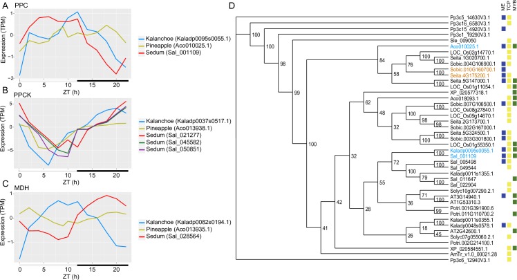 Fig 6