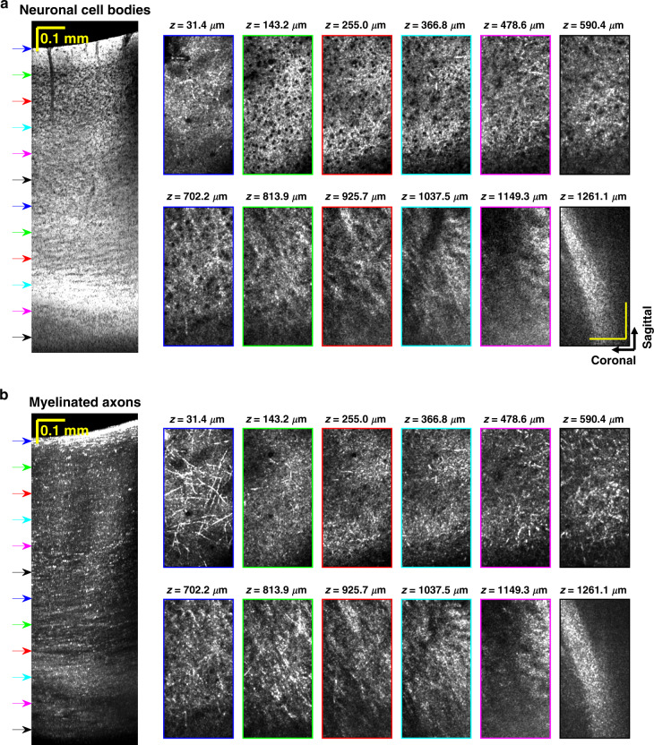 Fig. 3