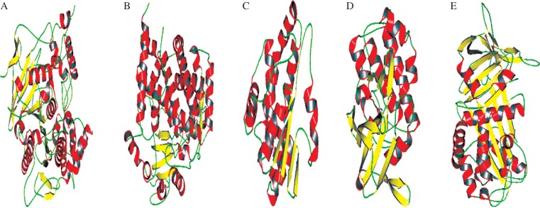 Fig. 2