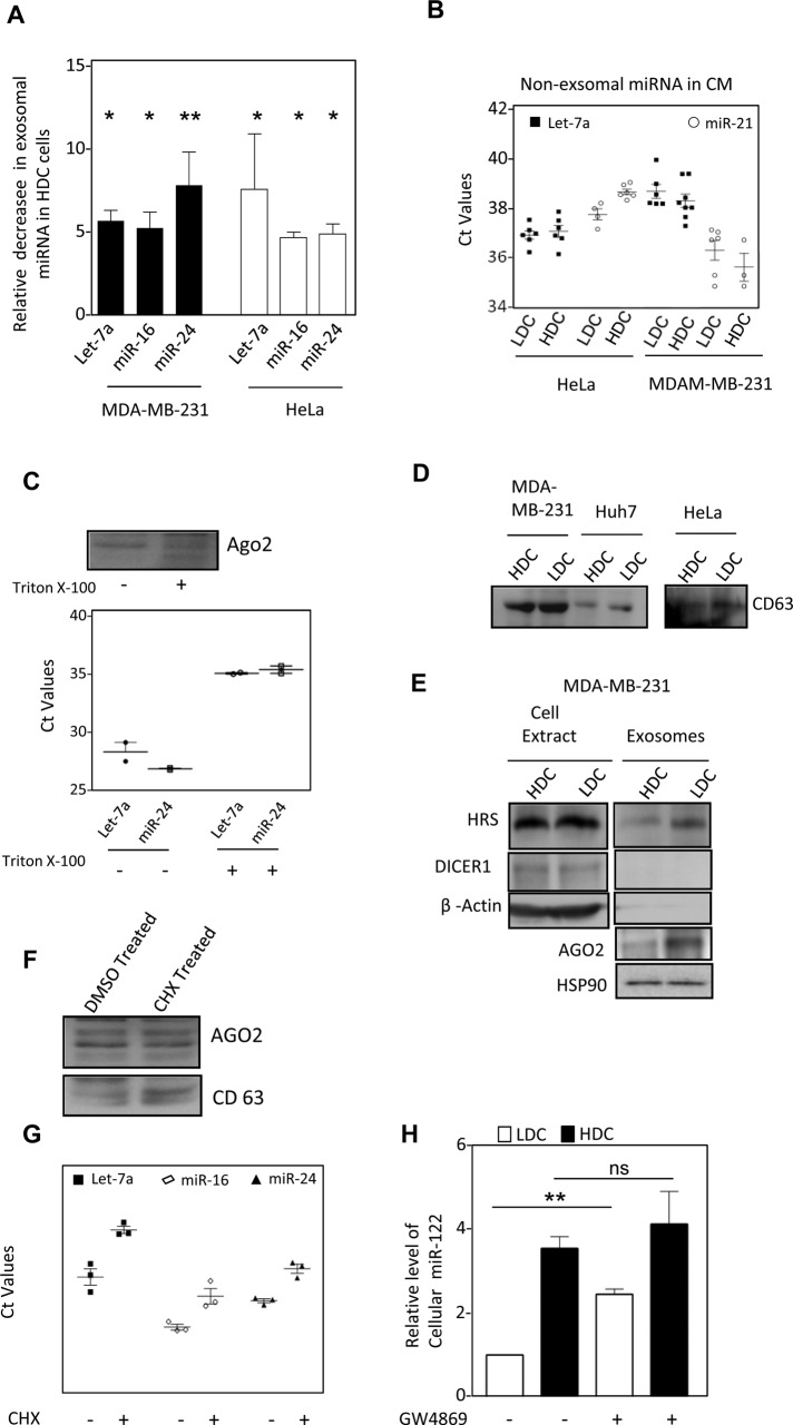 FIGURE 6: