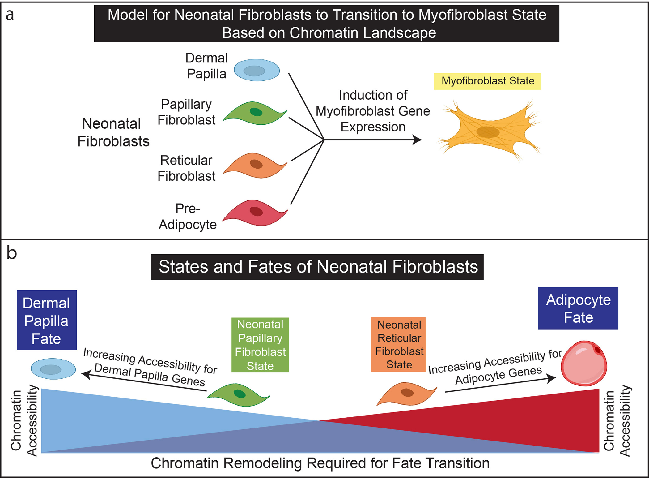 Figure 5: