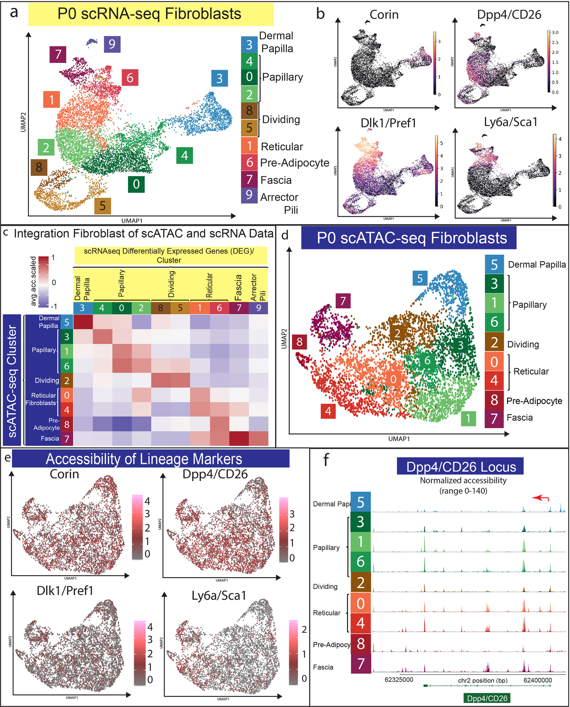 Figure 2: