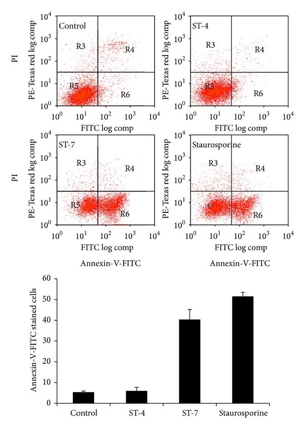 Figure 5