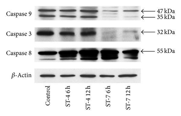 Figure 7