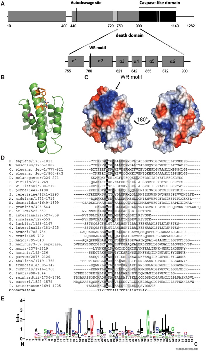 Fig 5