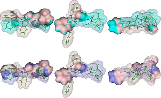 Fig. 10