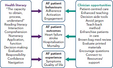 Figure 1: