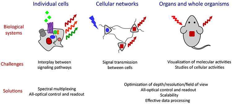 Figure 5.