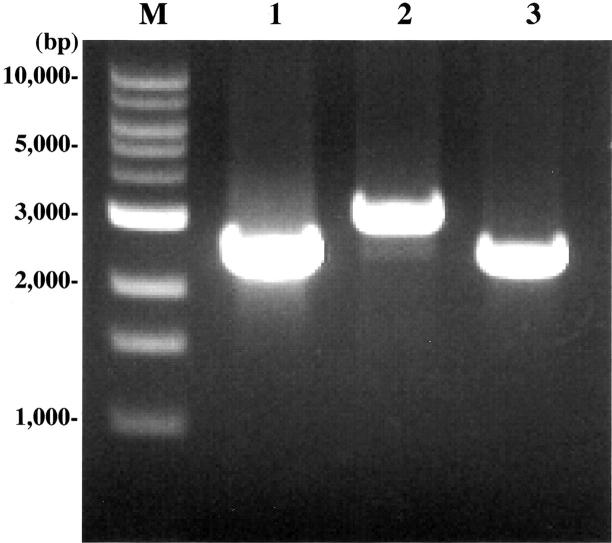 Figure 3.