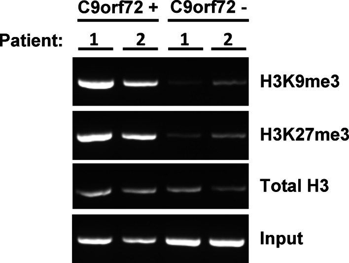 Fig. 4