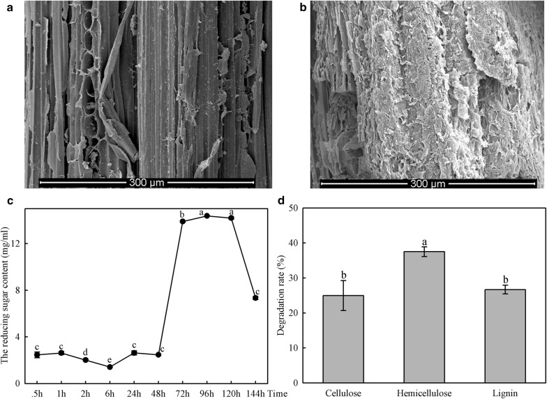 Fig. 7