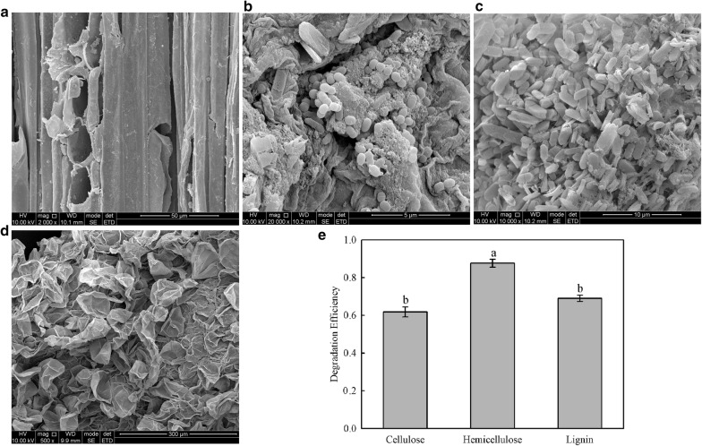 Fig. 6