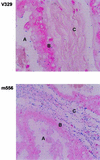 FIG. 5.