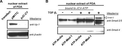 FIG. 6.