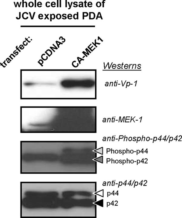 FIG. 5.