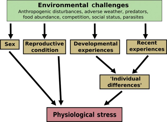 Figure 1: