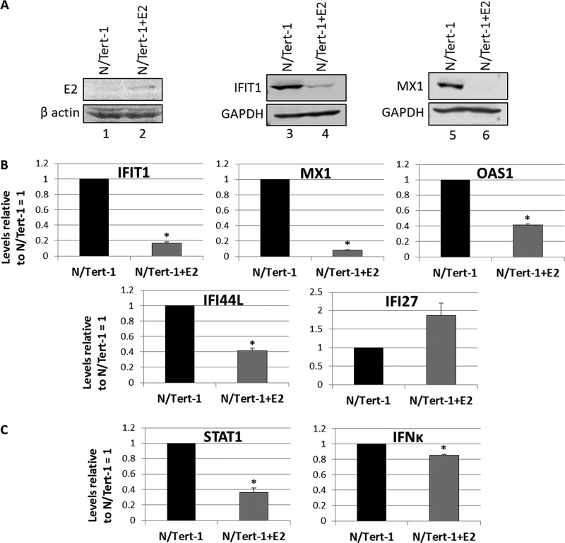 FIG 6