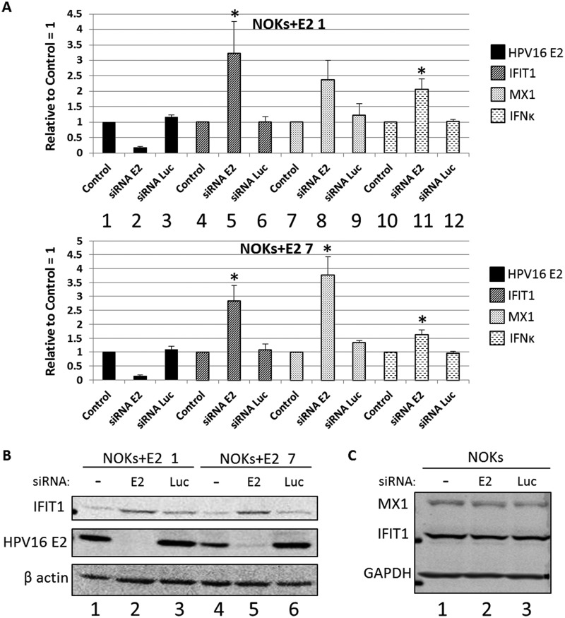 FIG 4