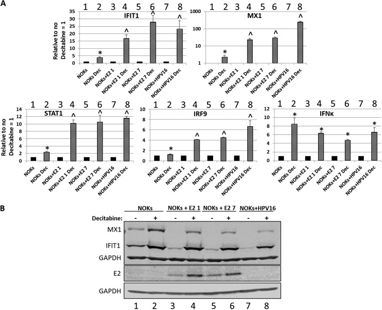 FIG 5