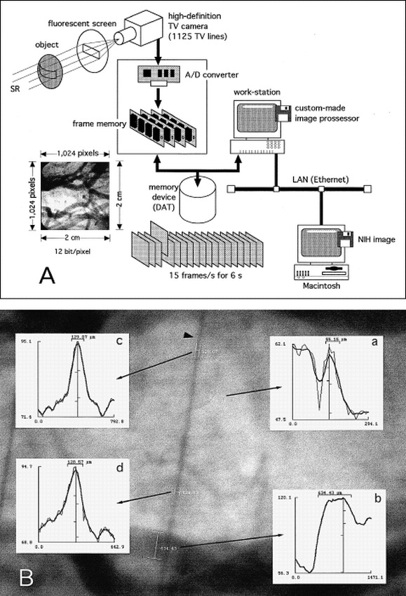 fig 1.