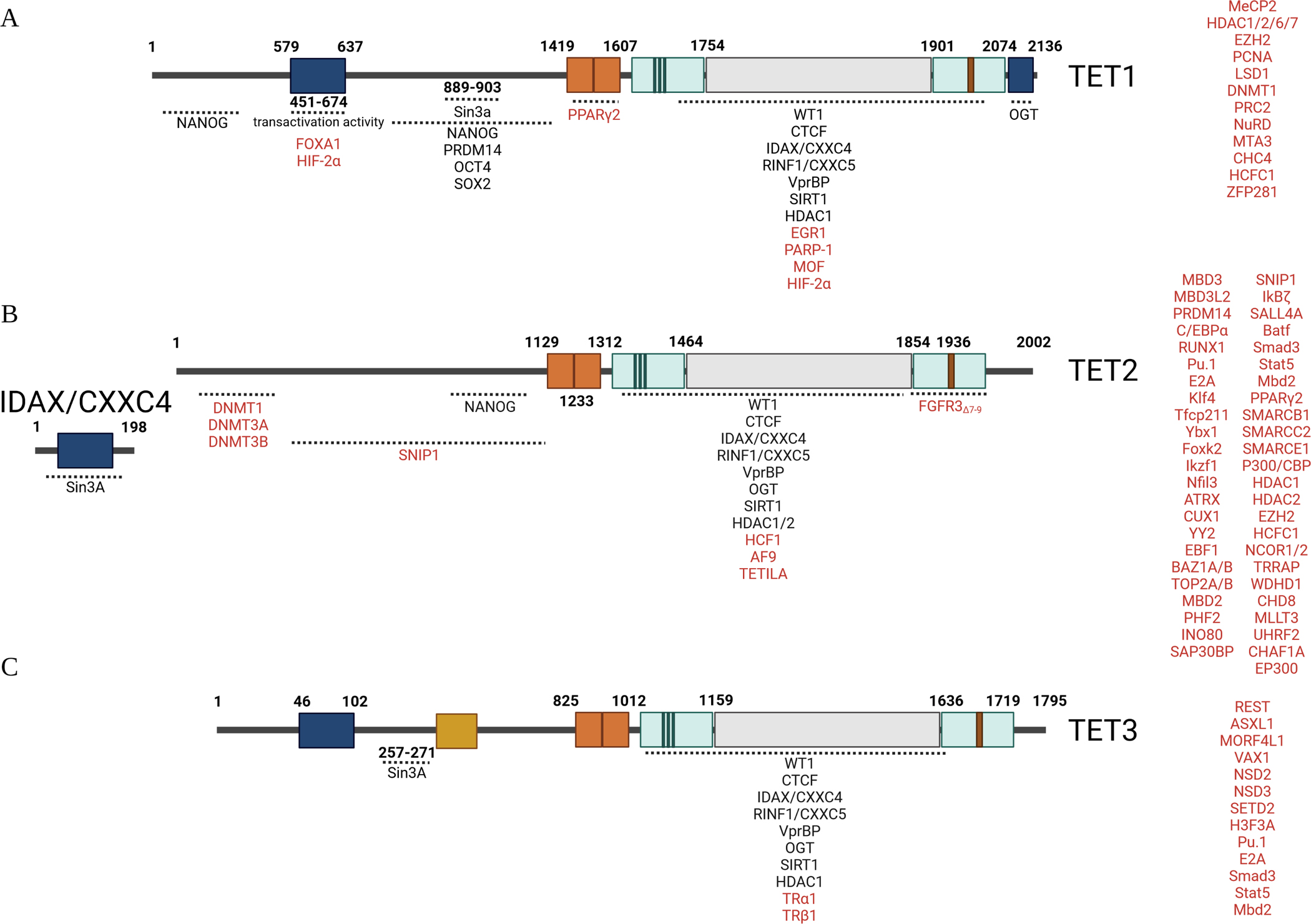 Figure 2.