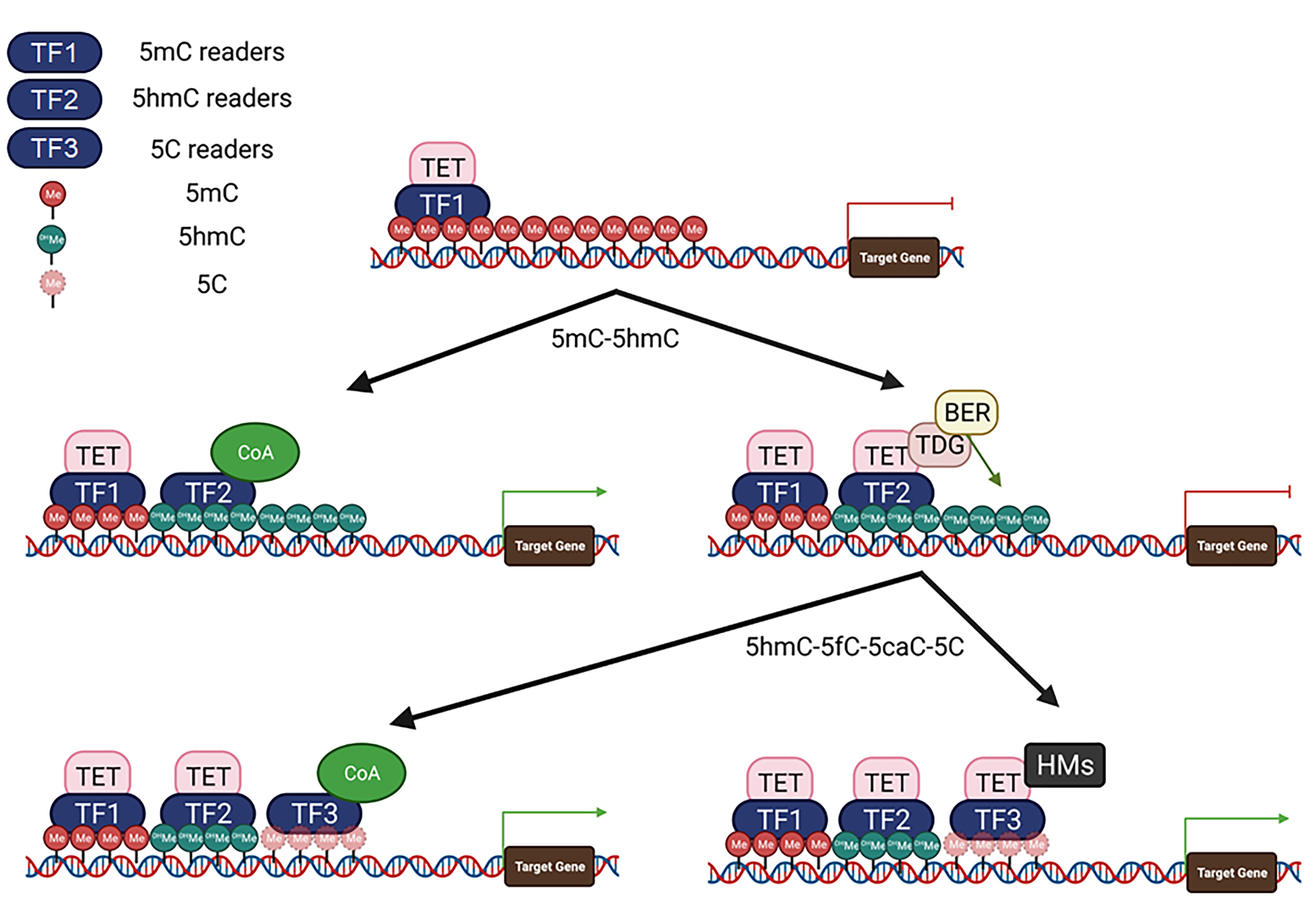 Figure 3.