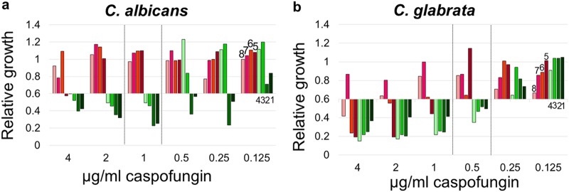 FIG 1