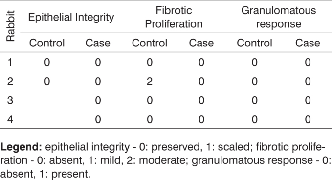 Chart 6