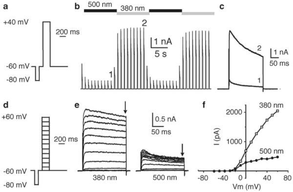 Fig. 4