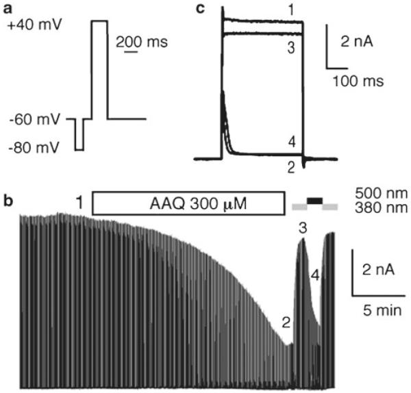 Fig. 3