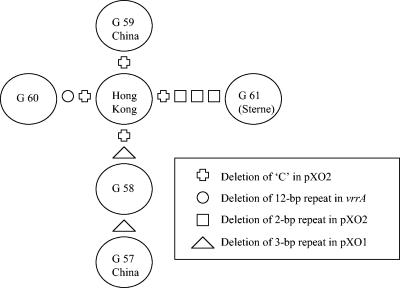 FIG. 2.