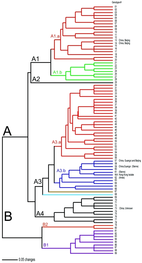 FIG.1.