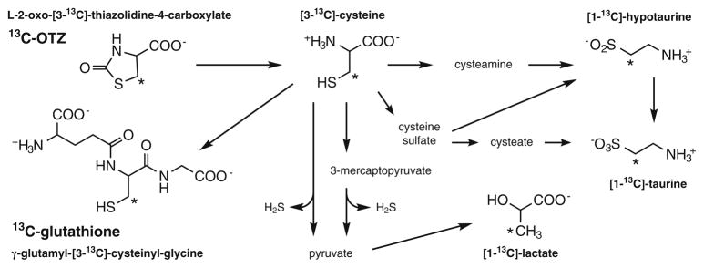 Fig. 1