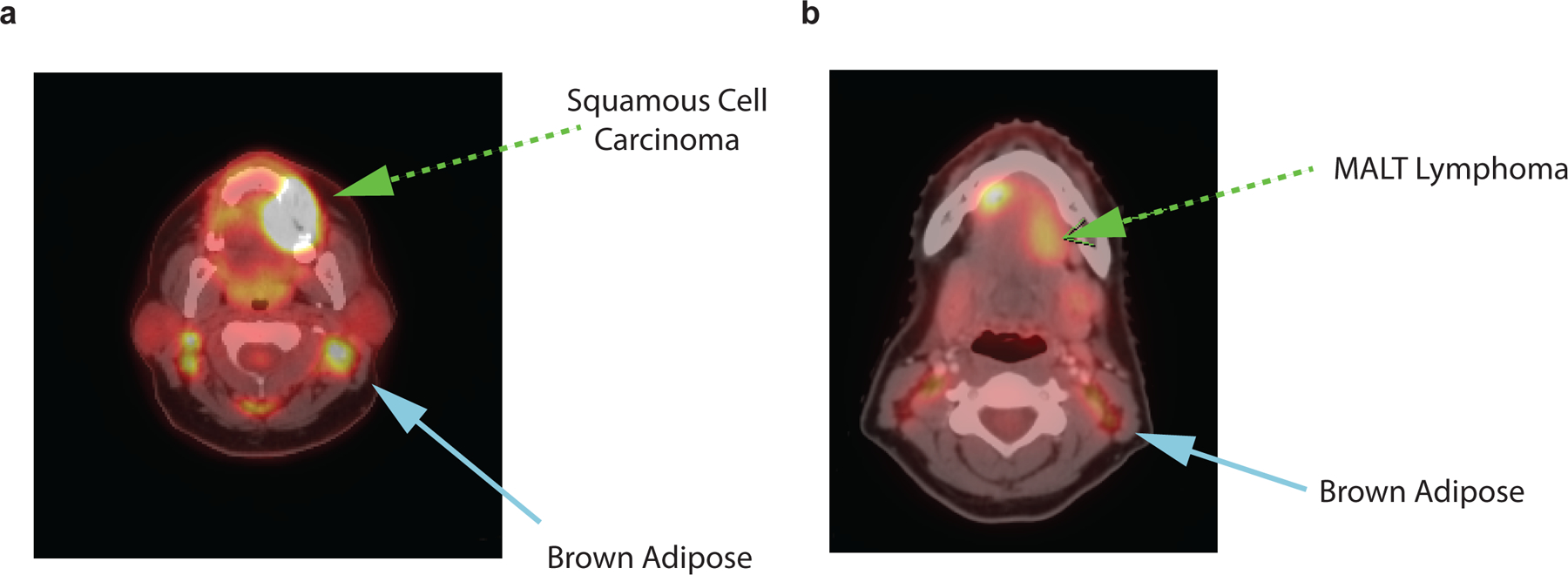 Extended Data Fig. 7: