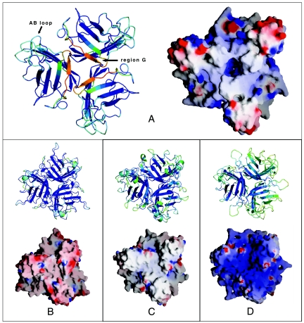 FIG. 2.