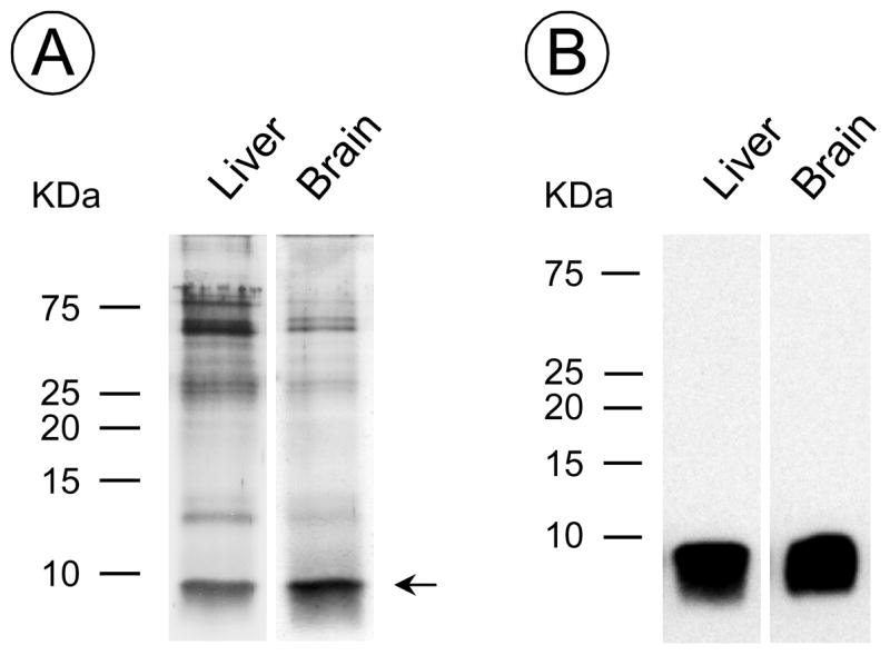 Fig 5