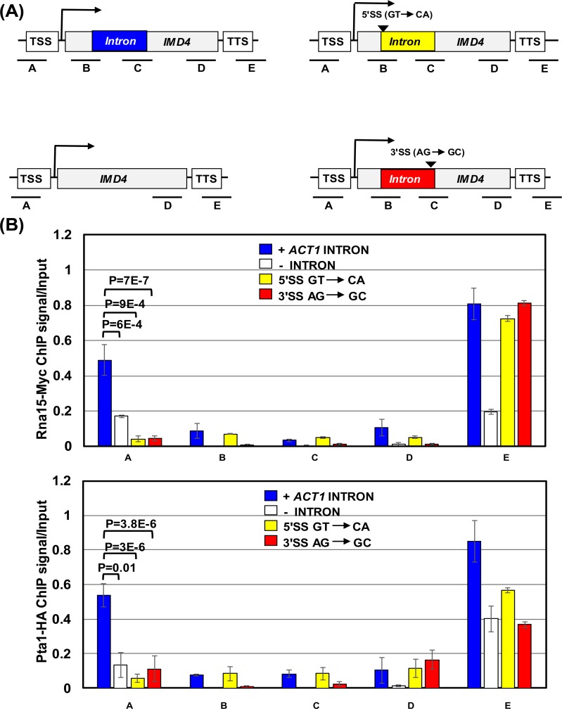 Fig 6