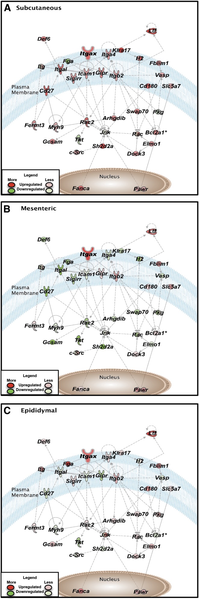 FIGURE 3